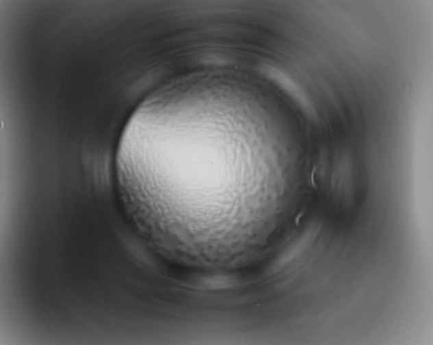 X0000092330445200709211310