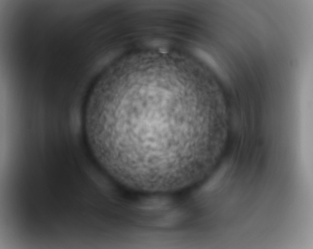 X0000092330447200709211310