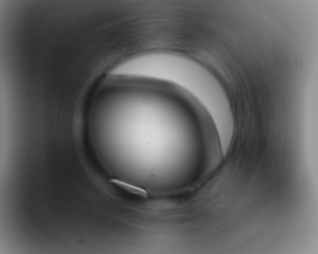 X0000092330448200709211310