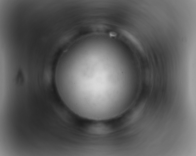 X0000092330451200709211310