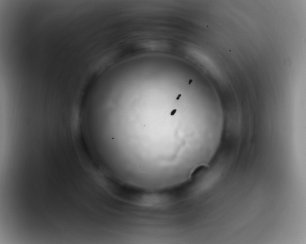 X0000092330453200709211310
