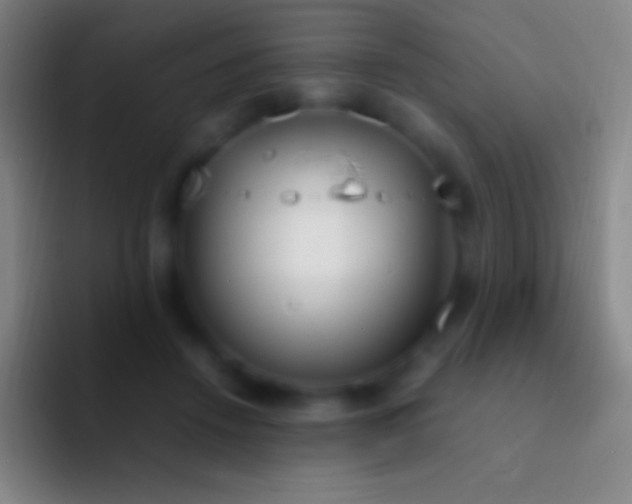 X0000092330456200709211310