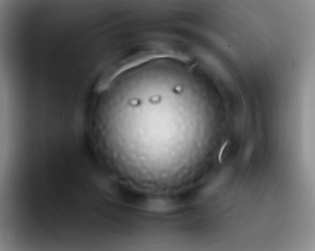 X0000092330457200709211310