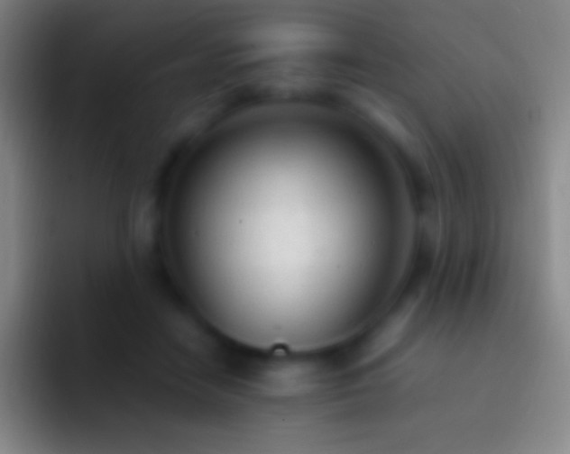 X0000092330458200709211310