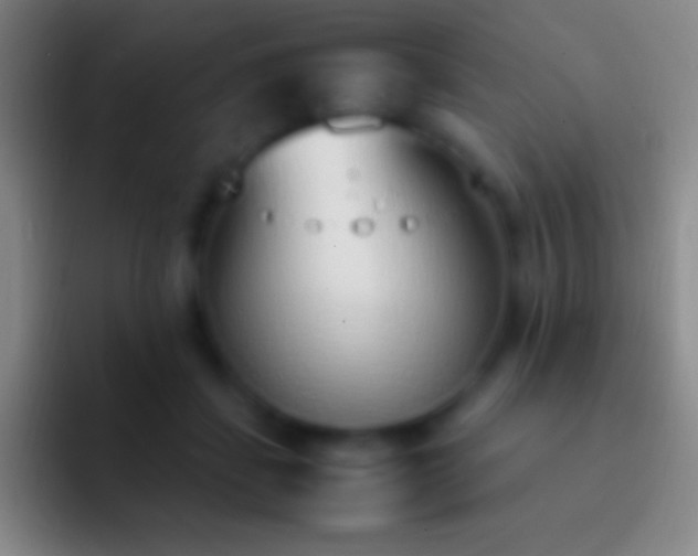 X0000092330459200709211310