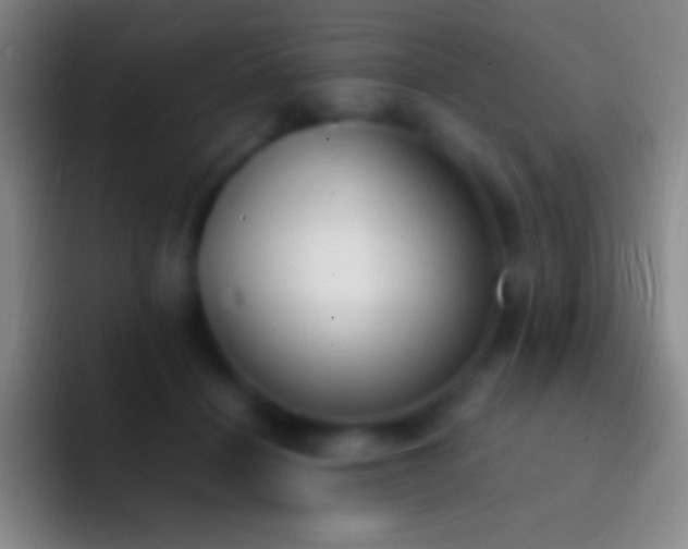 X0000092330460200709211310