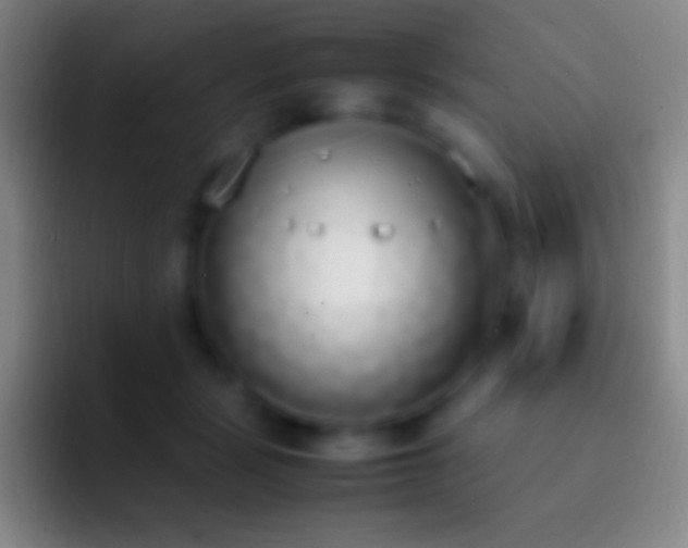 X0000092330461200709211310