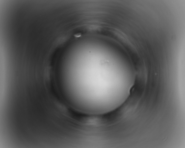 X0000092330462200709211310