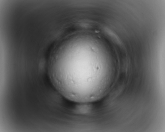X0000092330465200709211310