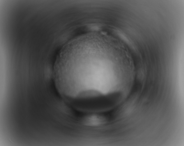 X0000092330467200709211310