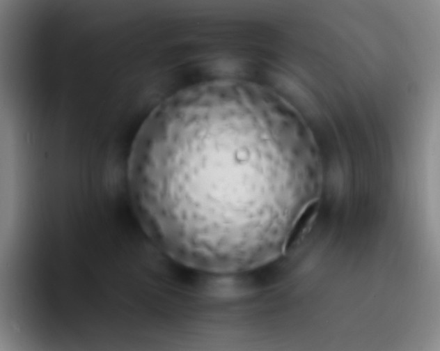 X0000092330473200709211310