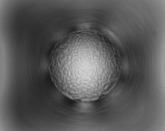 X0000092330477200709211310