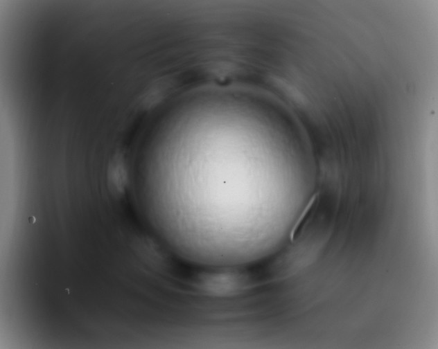 X0000092330479200709211310