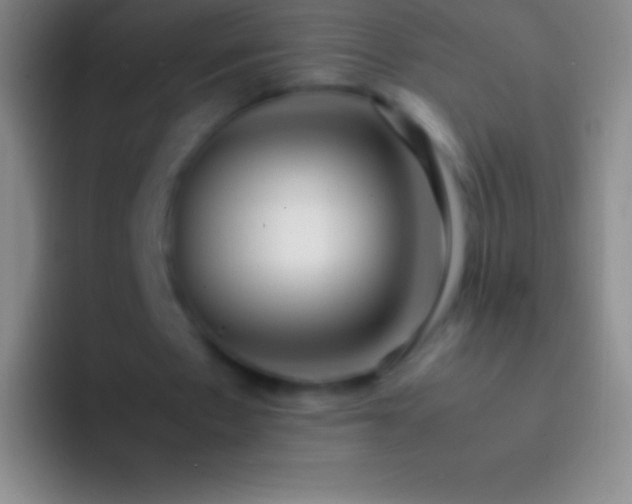 X0000092330481200709211310