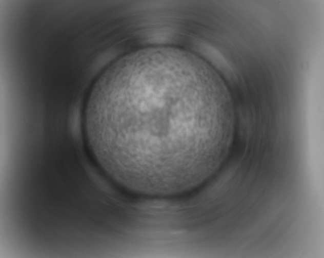 X0000092330482200709211310