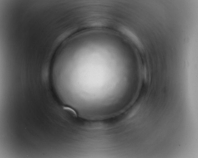 X0000092330483200709211310