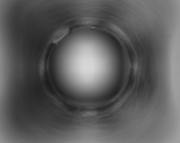 X0000092330484200709211310