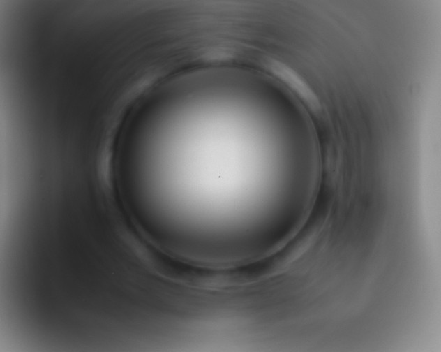 X0000092330485200709211310