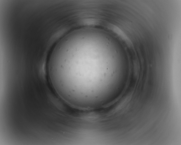 X0000092330486200709211310