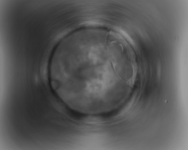 X0000092330487200709211310