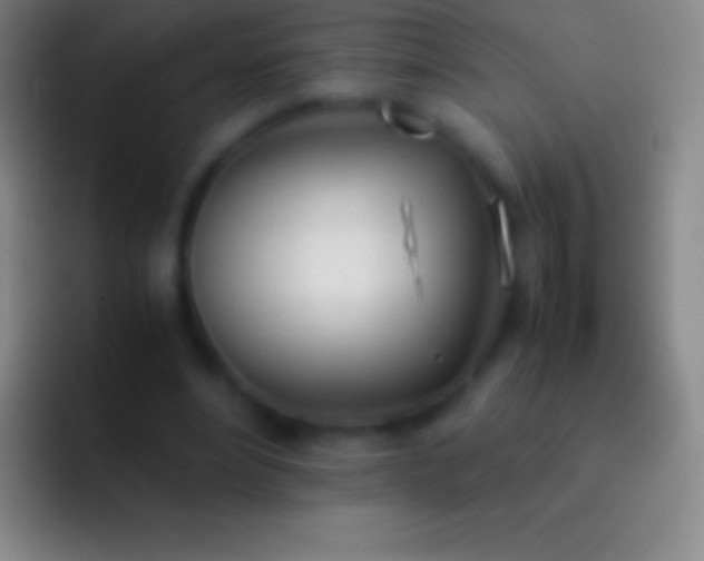 X0000092330488200709211310