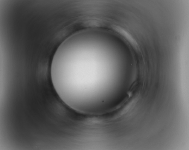 X0000092330489200709211310