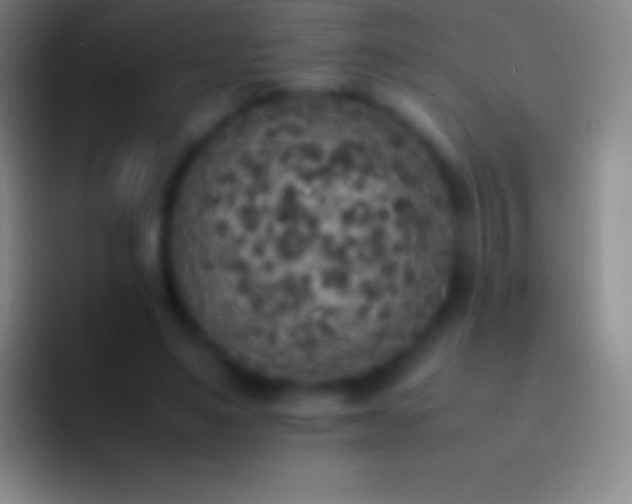 X0000092330491200709211310