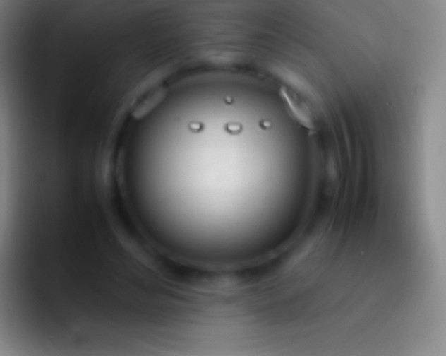 X0000092330492200709211310