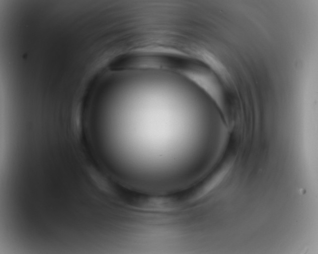 X0000092330493200709211310