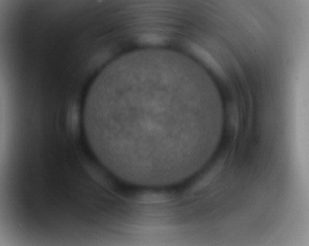 X0000092330494200709211310