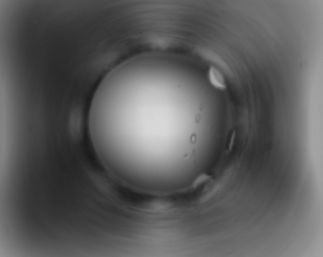 X0000092330496200709211310