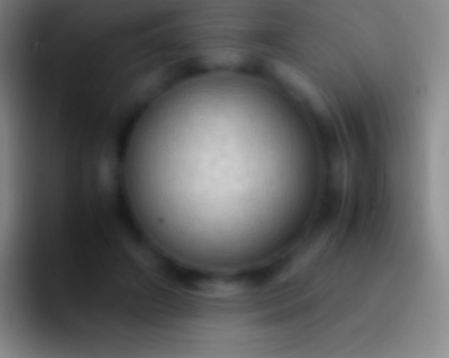 X0000092330498200709211310