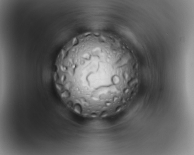 X0000092330499200709211310