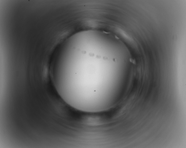 X0000092330500200709211310