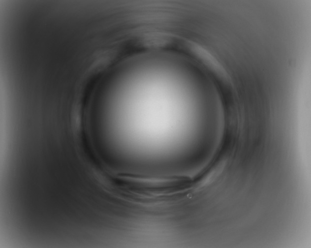 X0000092330501200709211310