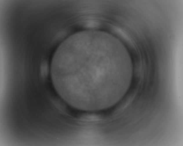 X0000092330502200709211310