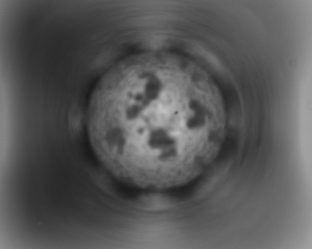 X0000092330503200709211310