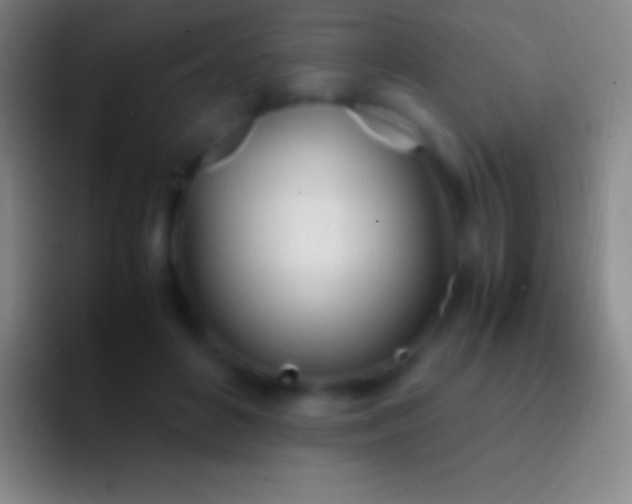 X0000092330504200709211310
