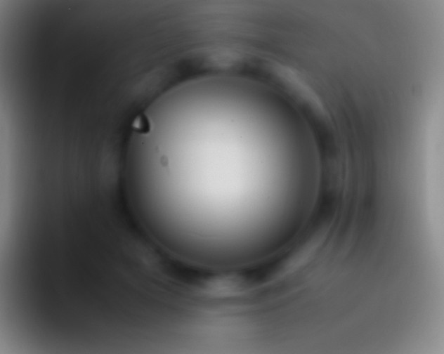 X0000092330505200709211310