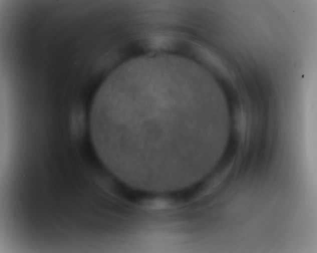 X0000092330506200709211310