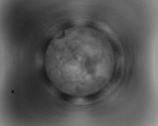 X0000092330507200709211310
