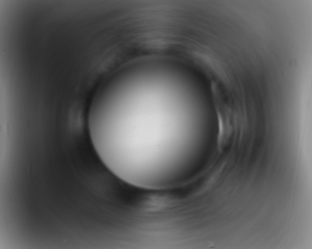 X0000092330508200709211309