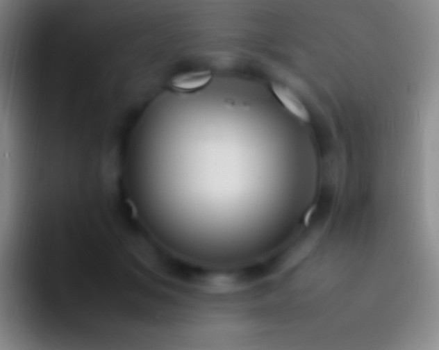 X0000092330509200709211309