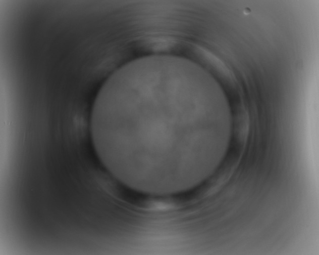 X0000092330510200709211309