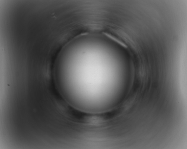 X0000092330512200709211309