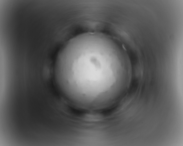 X0000092330515200709211309