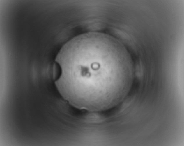 X0000092330519200709211309