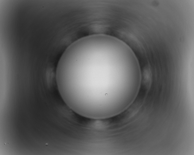 X0000092330522200709211309