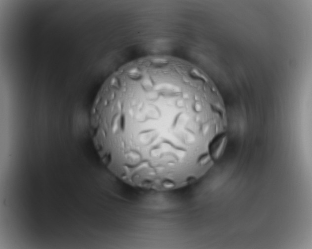 X0000092330523200709211309