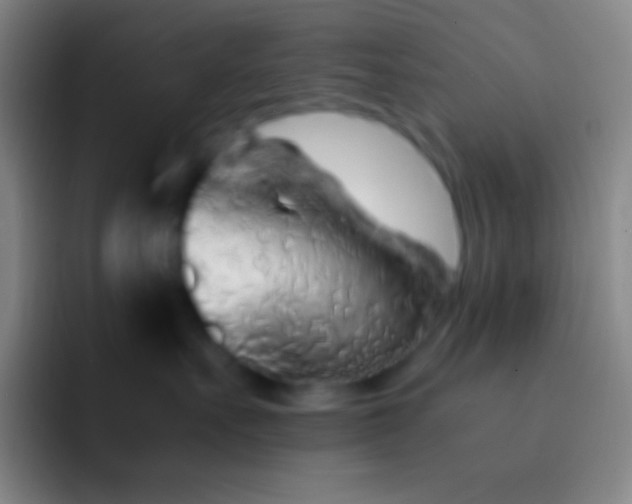 X0000092330527200709211309